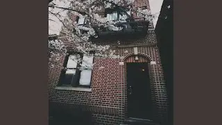 Tap Dancing on Lily Pads