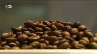 Kaffee ohne Verfallsdatum | Journal