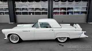 1955 Ford Thunderbird Walkaround, Startup and Sound (short version)