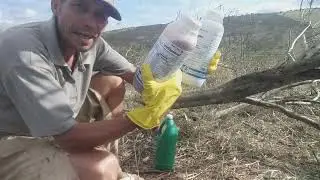 veja como eu uso agrotóxico Tordo para matar os a raiz das Árvores cortada