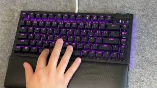 Razer BlackWidow V4 75% - Typing Sound Test (Razer Orange Tactile)