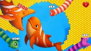 Fishdom🐠 Ads Mini Games New 6.01 Update video Hungry Fishs🐟 Gameplay 2025 Hey Fish