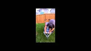 Review of Cougar Chariot by www.myactiveparents.com