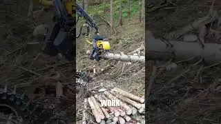 logging work #workers  #howtobuild #construction #logging
