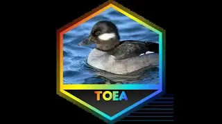 JToH - Tower of Extraordinary Adventures (ToEA)