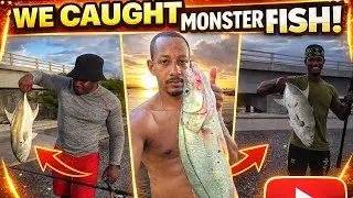 Shore Fishing To Bridge Fishing| Snook & Jack Crevalle |Awesome Day