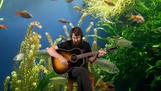 Fish Centre with Special Guest Matthew Chulka