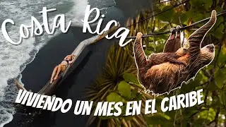 PUERTO VIEJO &iquest;C&Oacute;MO es VIVIR AQU&Iacute;..? 🦥🌴 | Diario de una vida N&oacute;mada #3 &mdash; Costa Rica 🇨🇷