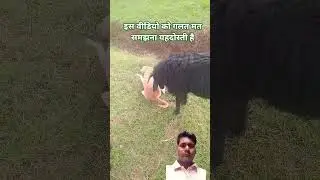 #dog #goat #love #viral #ytshorts