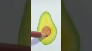 Avocado drawing using colored pencils #shorts #tutorial