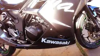 Ninja 300 Winter Test edition