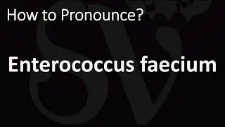 How to Pronounce Enterococcus faecium? (CORRECTLY)