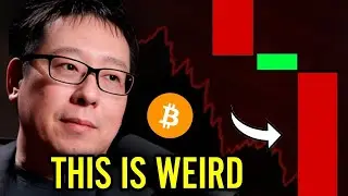 Самсон Моу о схеме манипулирования биткоинами и распродаже акций🚨