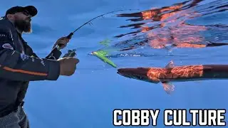 Trolling for Tuna and Catching Sharks