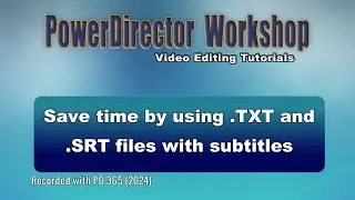Save time by using TXT and SRT files to add content to subtitles
