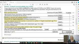 Federal Non-Refundable Tax Credits