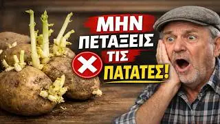 Οι Πατάτες σου Φύτρωσαν; ΜΗΝ τις Πετάξεις! Το Κόλπο του Παππού που τις Μεταμορφώνει 🥔
