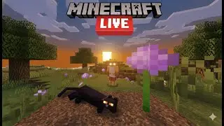 🔴 Minecraft Live &ndash; Survival World | Join Now!🔥