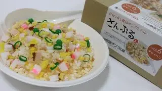 Japanese Food Sample Making Kit Fried rice さんぷるん チャーハン 自分で作る食品サンプルキット