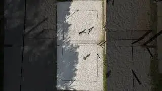 Top 5 Beach Tennis Skills to Dominate the Court!#drone