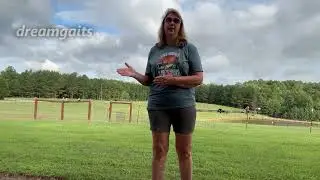 My puppy is dog reactive How to fix dog reactivity in a puppy