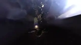 Bat Cave in Lombok