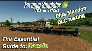 Полное руководство по рапсу в Farming Simulator 25