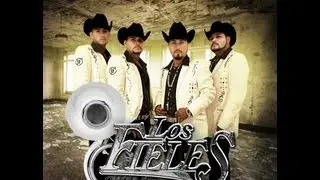 Los Fieles De Sinaloa - El Bufalito (Audio) (2013)
