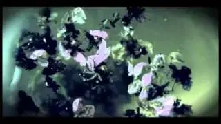A Spill On a Curtain.mp4