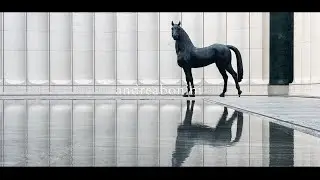 Siglo de Oro | Contemporary Interior by Andrea Bonini