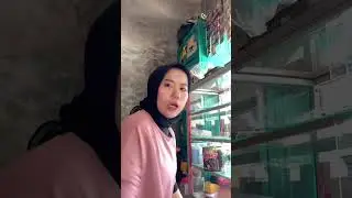 Bunda punya warung kecil kecilan adakah yang mau sama bunda jilbab cantik mama muda