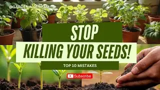 10 ошибок при выращивании семян, которых следует избегать каждому начинающему садоводу