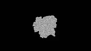 Cellular Automaton: Maze - B3/S12345