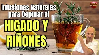 🌿☕️ &iexcl;RESETEA TU CUERPO! ✨ INFUSIONES NATURALES para DEPURAR H&Iacute;GADO y RI&Ntilde;ONES 💪