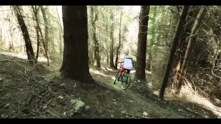 Flow Mountain Bike - Skyline MTB Park, Queenstown