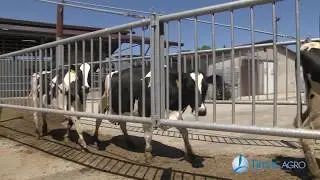 Agricoltori di Successo - Agrisfera Soc. Coop. P.A.