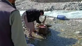 Live fishing at ploga valley