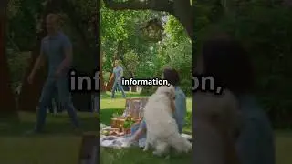 AI + Weather Prediction: The Future is Here!