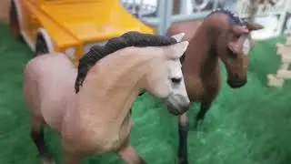 Schleich allein Zuhause 🐴❤ | Nonni#love