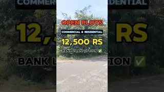 Land is being sold at a price lower than gold #lowbudget #openplotsforsale #hyderabadrealestate #...