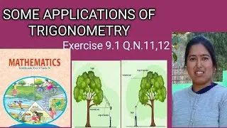 # Class 10, NCERT, Some Applications Of Trigonometry, Exercise 9.1 ,Q.N.11,12