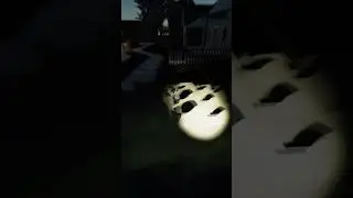 Willow Street House Bug