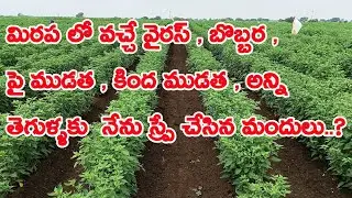 BASF Cabrio Top Fungicide/Cabrio TOP/Pyraclostrobin+Metiram/ju tridev insecticide in telugu