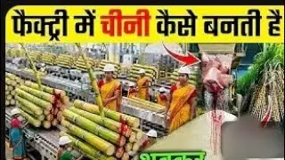 जानिए गन्ने से चीनी कैसे बनती है ? | How Sugar Made In Factory
