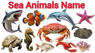 Sea Animals Name for Kids | Learn Ocean Animals in English | Educational Video