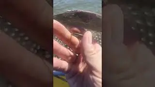 Серебряный намейс #подводныйкоп #находка #кольцо #намейс