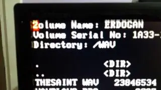 TRDOS 386 Operating System - WAV Playing Demo - The SAINT - VT 8233