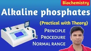 Alkaline phosphatase ALP Test Principle Procedure Normal range