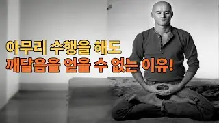 깨달음을 구하는 자가 결코 그것을 얻지 못하는 이유! 운명도 깨달음도 자유의지도 없다!