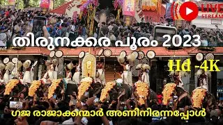 തിരുനക്കര പൂരം 2023/Thirunakkara pooram/കോട്ടയം #alpravasinpvlogs #kottayamnews #aanapremi #hd #4k